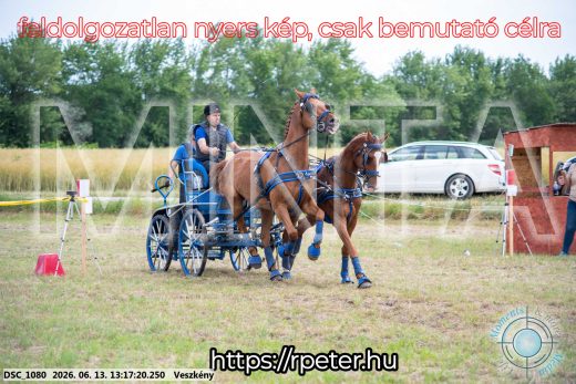 Mintakép 20260613-923