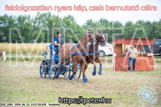 Mintakép 20260613-924