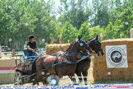 Mintakép 20260711-527