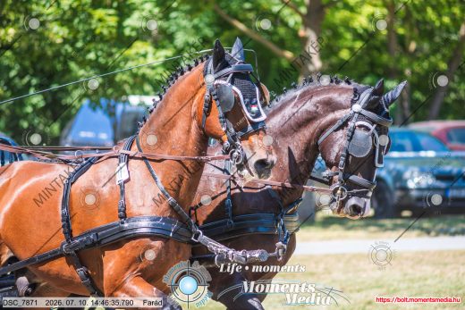 20260710-144635-DSC_7871.jpg