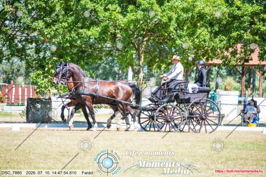 Mintakép 20260710-502
