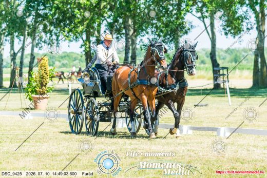 Mintakép 20260710-509