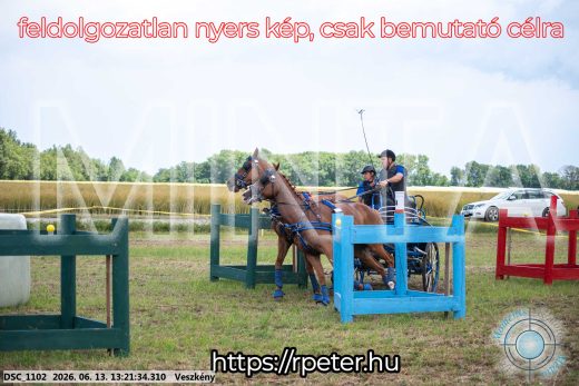 Mintakép 20260613-937