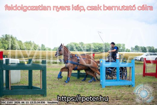 Mintakép 20260613-938
