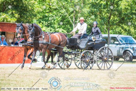 Mintakép 20260710-531