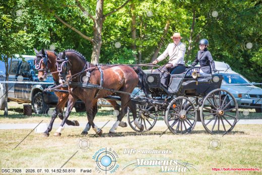 Mintakép 20260710-534
