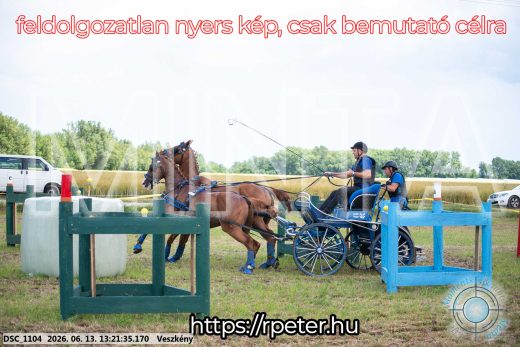 Mintakép 20260613-939