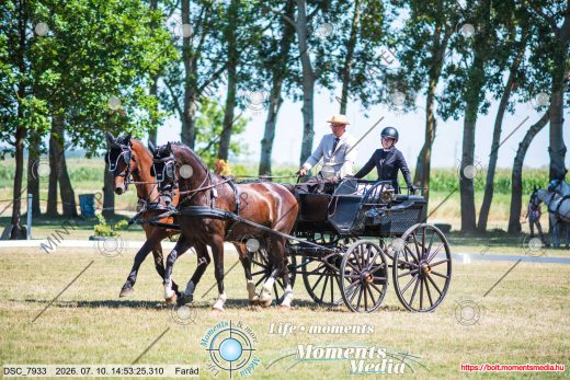 Mintakép 20260710-539