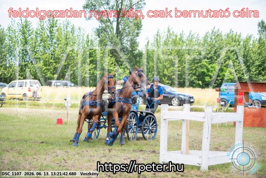 Mintakép 20260613-942