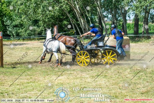 Mintakép 20260711-555