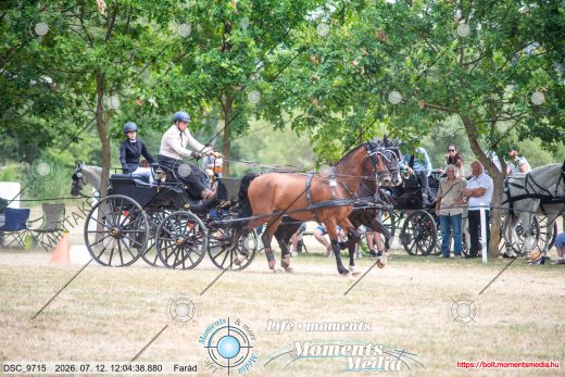 Mintakép 20260712-364
