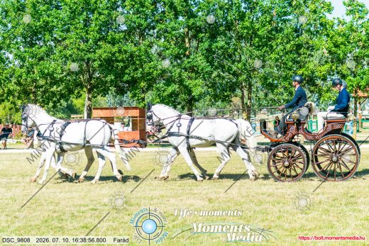 20260710-163856-DSC_9808.jpg