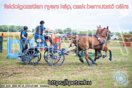Mintakép 20260613-946