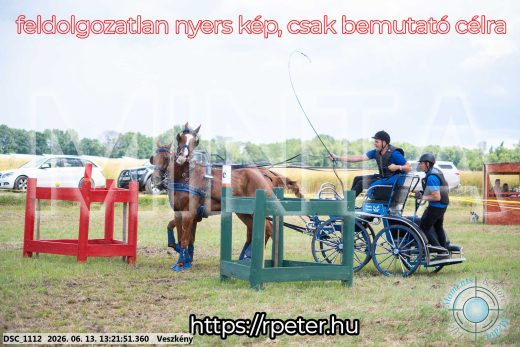 Mintakép 20260613-947