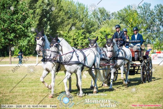 Mintakép 20260710-567