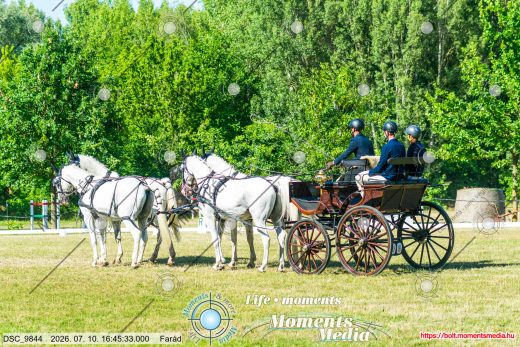 Mintakép 20260710-575