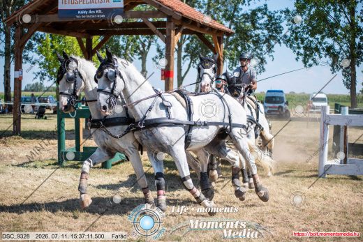 Mintakép 20260711-560