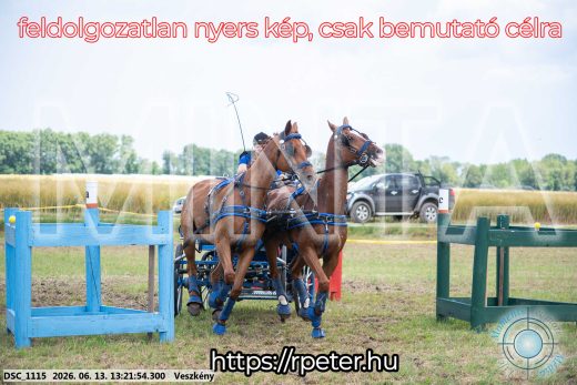 Mintakép 20260613-950