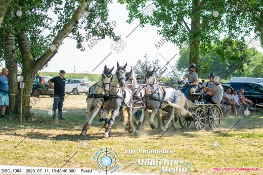 Mintakép 20260711-576
