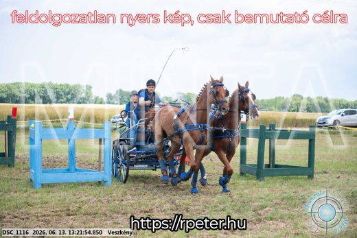 Mintakép 20260613-951