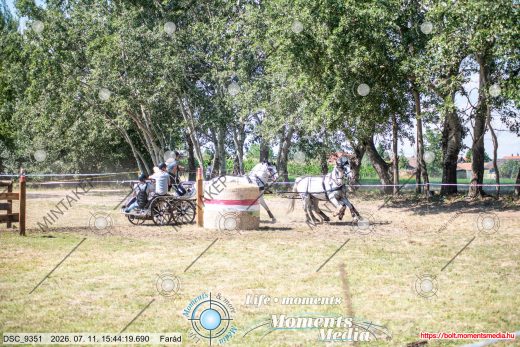 Mintakép 20260711-595