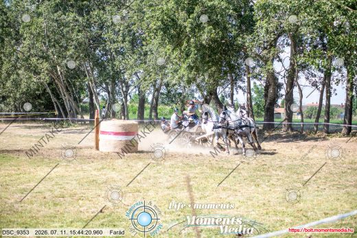 Mintakép 20260711-600