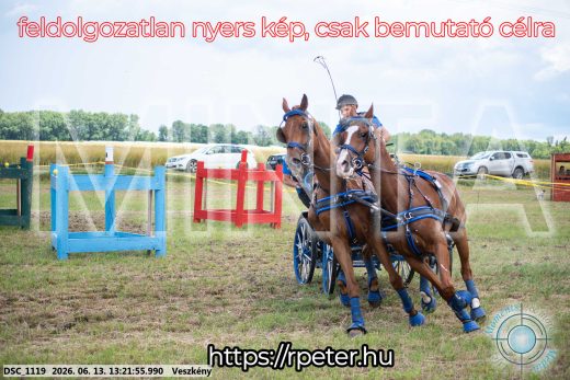 Mintakép 20260613-954