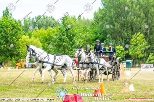Mintakép 20260712-381