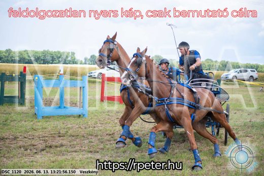 Mintakép 20260613-955