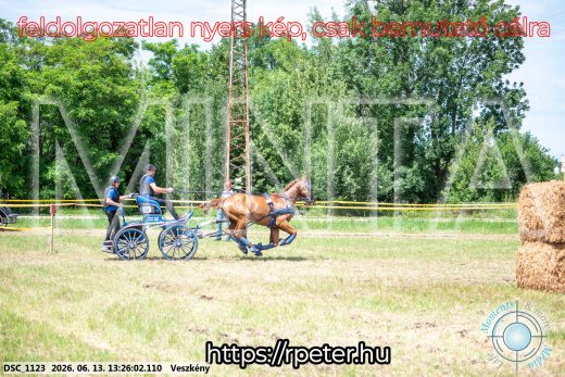 Mintakép 20260613-958