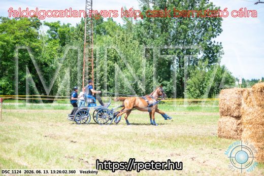 Mintakép 20260613-959