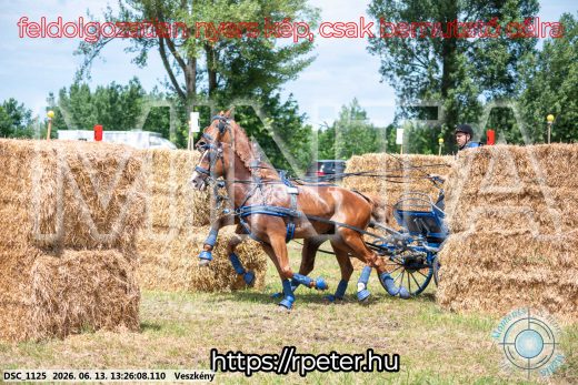 Mintakép 20260613-960