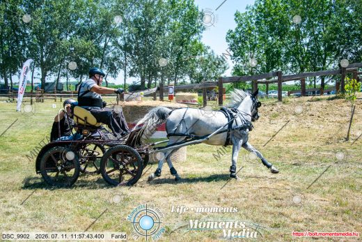 Mintakép 20260711-623