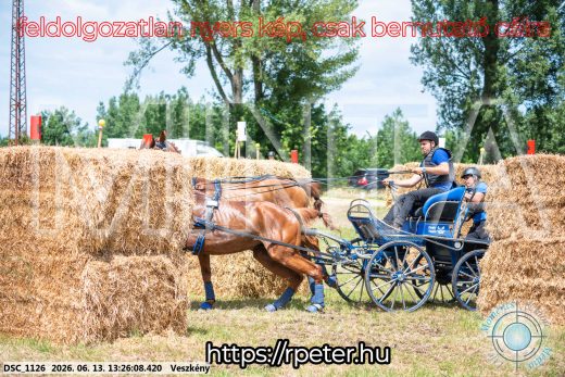 Mintakép 20260613-961