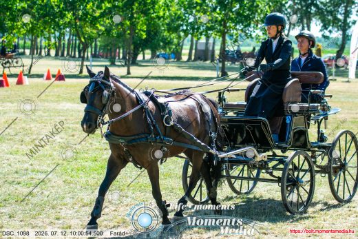 Mintakép 20260712-406