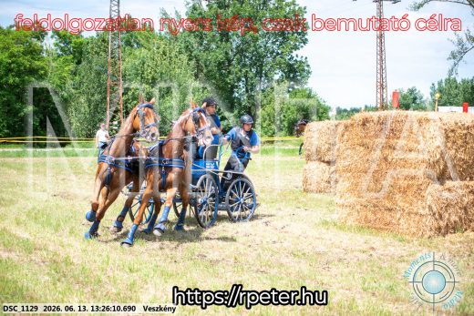 Mintakép 20260613-964