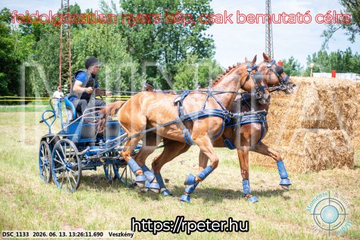 Mintakép 20260613-968