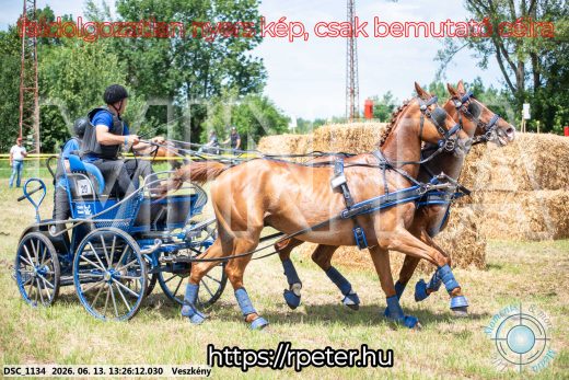 Mintakép 20260613-969