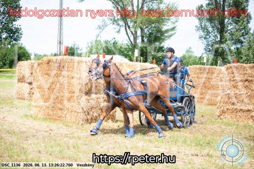 Mintakép 20260613-971