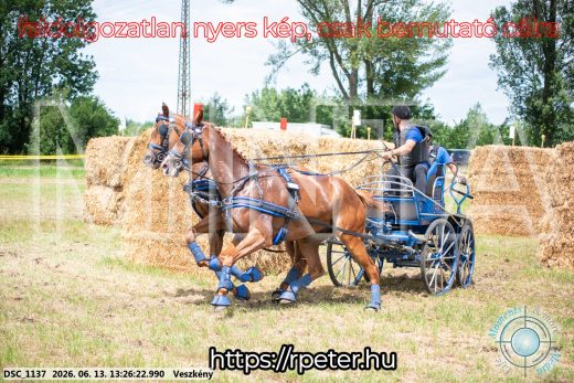 Mintakép 20260613-972