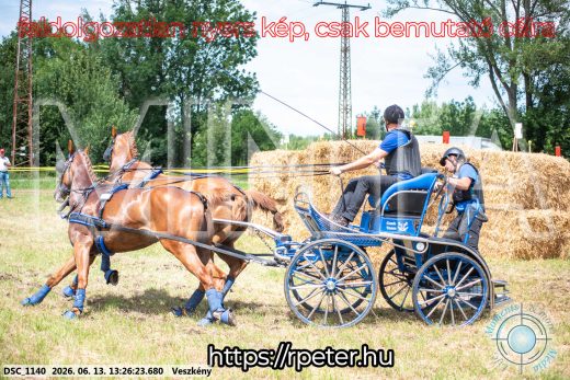 Mintakép 20260613-975