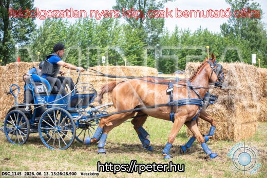 Mintakép 20260613-977