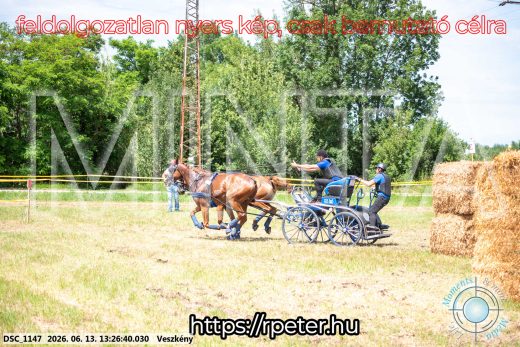 Mintakép 20260613-978