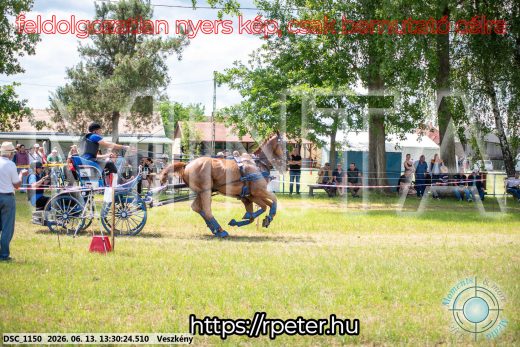 Mintakép 20260613-979