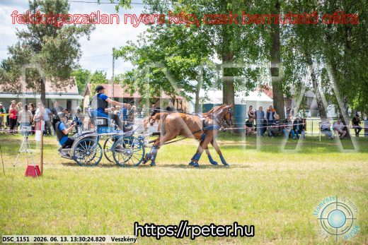 Mintakép 20260613-980