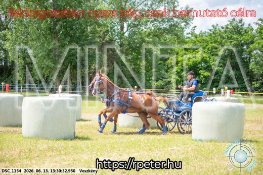 Mintakép 20260613-981