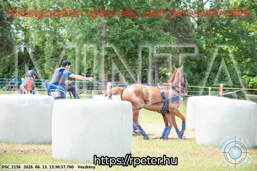 Mintakép 20260613-983
