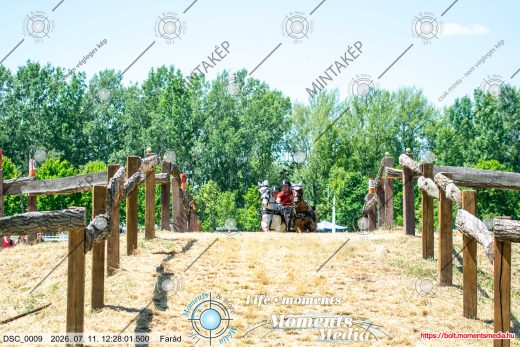 Mintakép 20260711-732