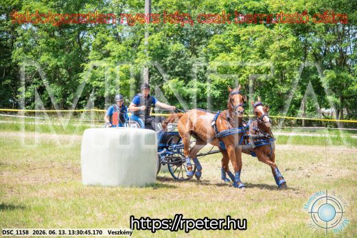 Mintakép 20260613-985