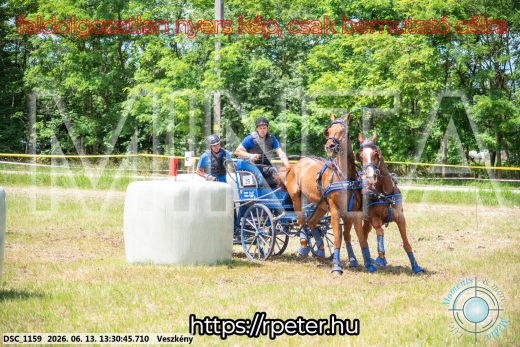 Mintakép 20260613-986